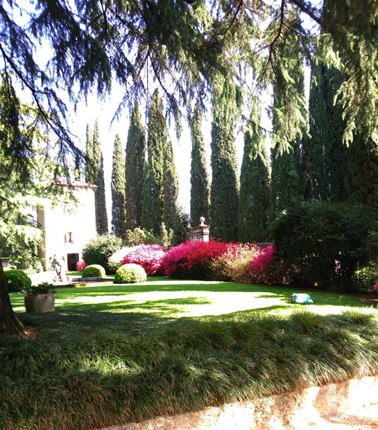 Chagall Giardini - Giardinaggio